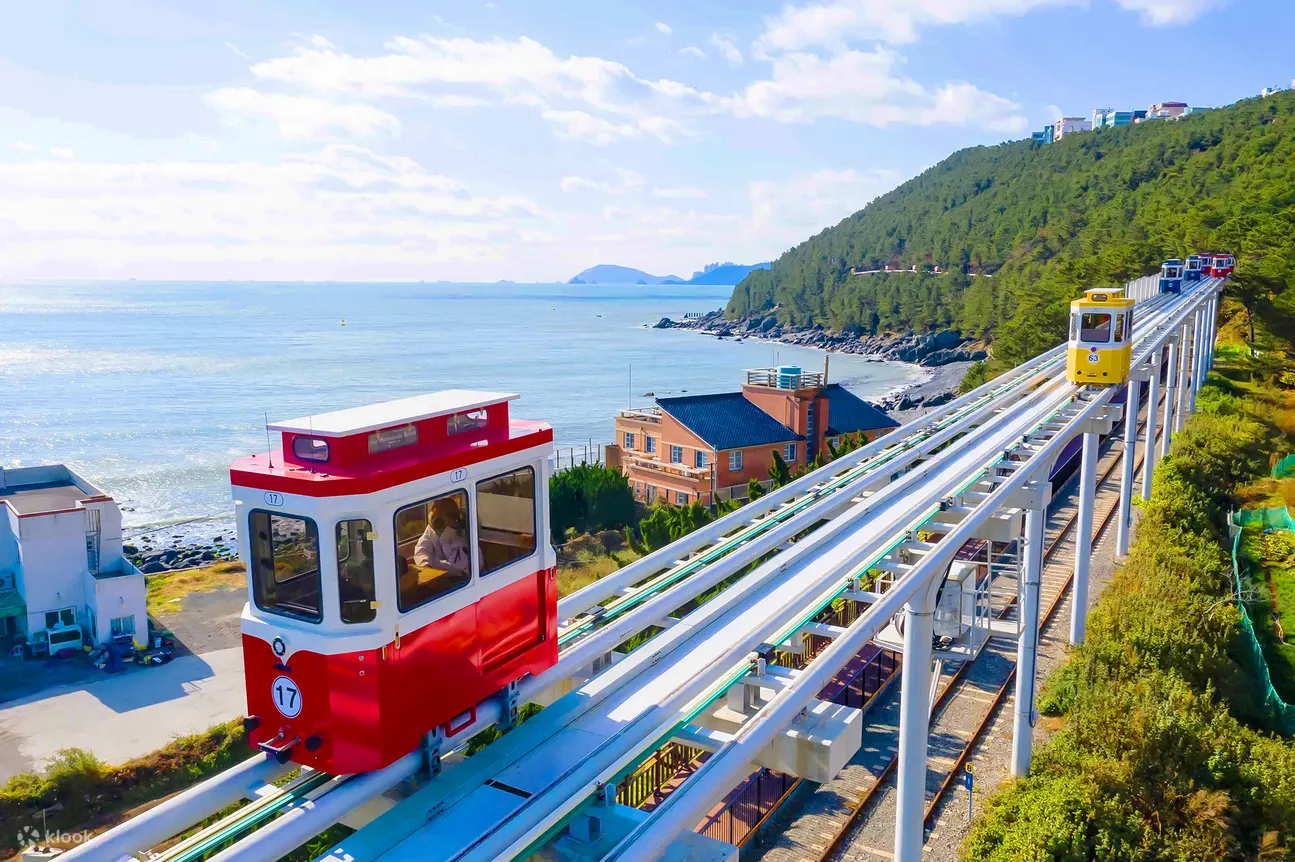 Busan One-Day Highlights Activity Guide activity photo (6)