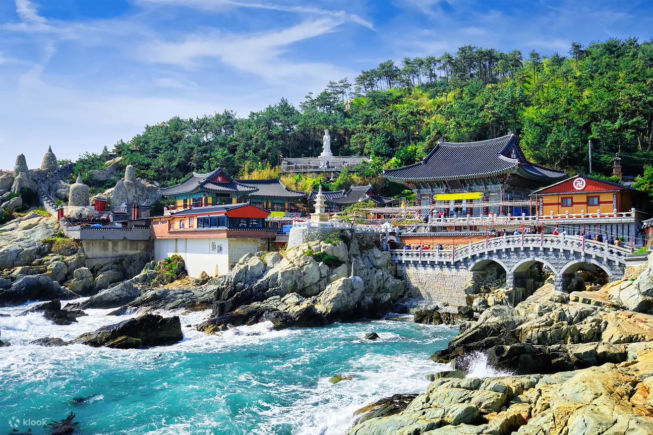 Busan One-Day Highlights Activity Guide activity photo (7)
