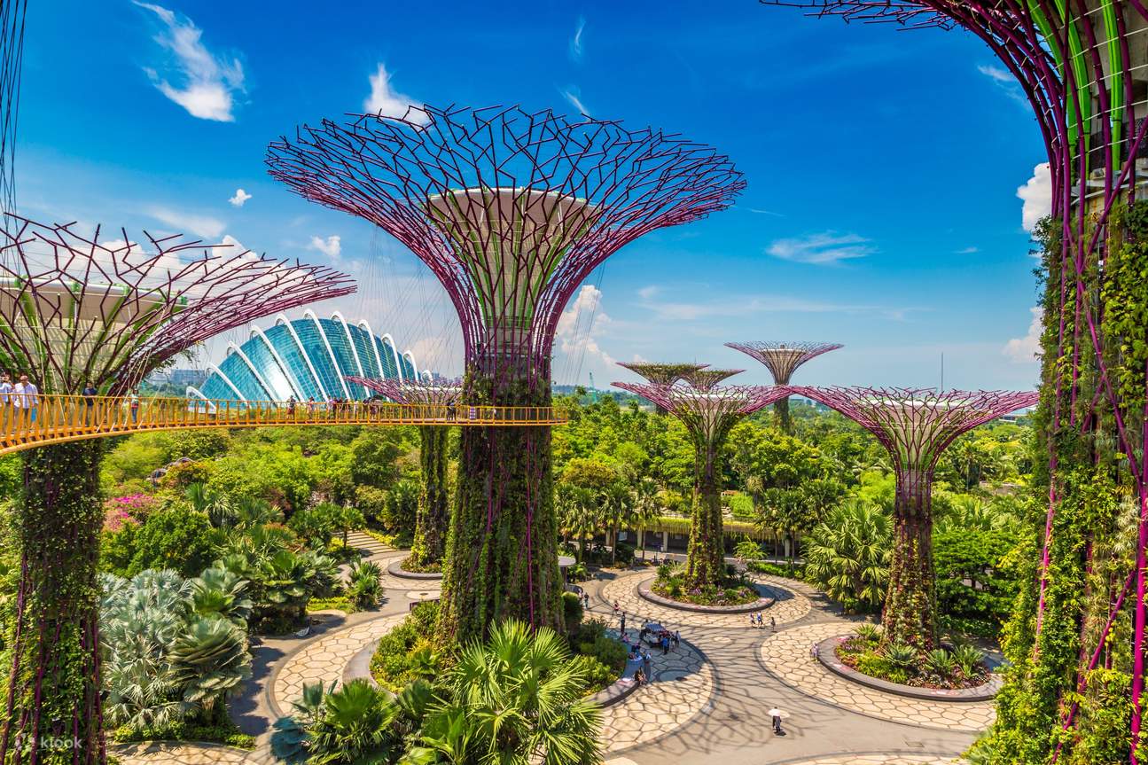 Supertree Grove di Gardens by the Bay, Singapura