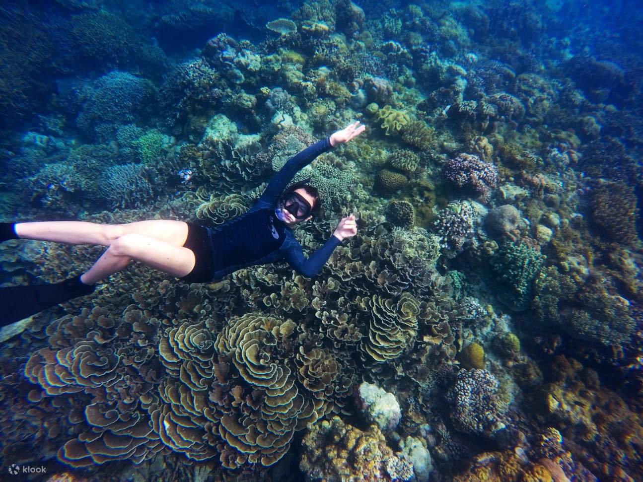 Labuan Bajo scenic snorkeling view