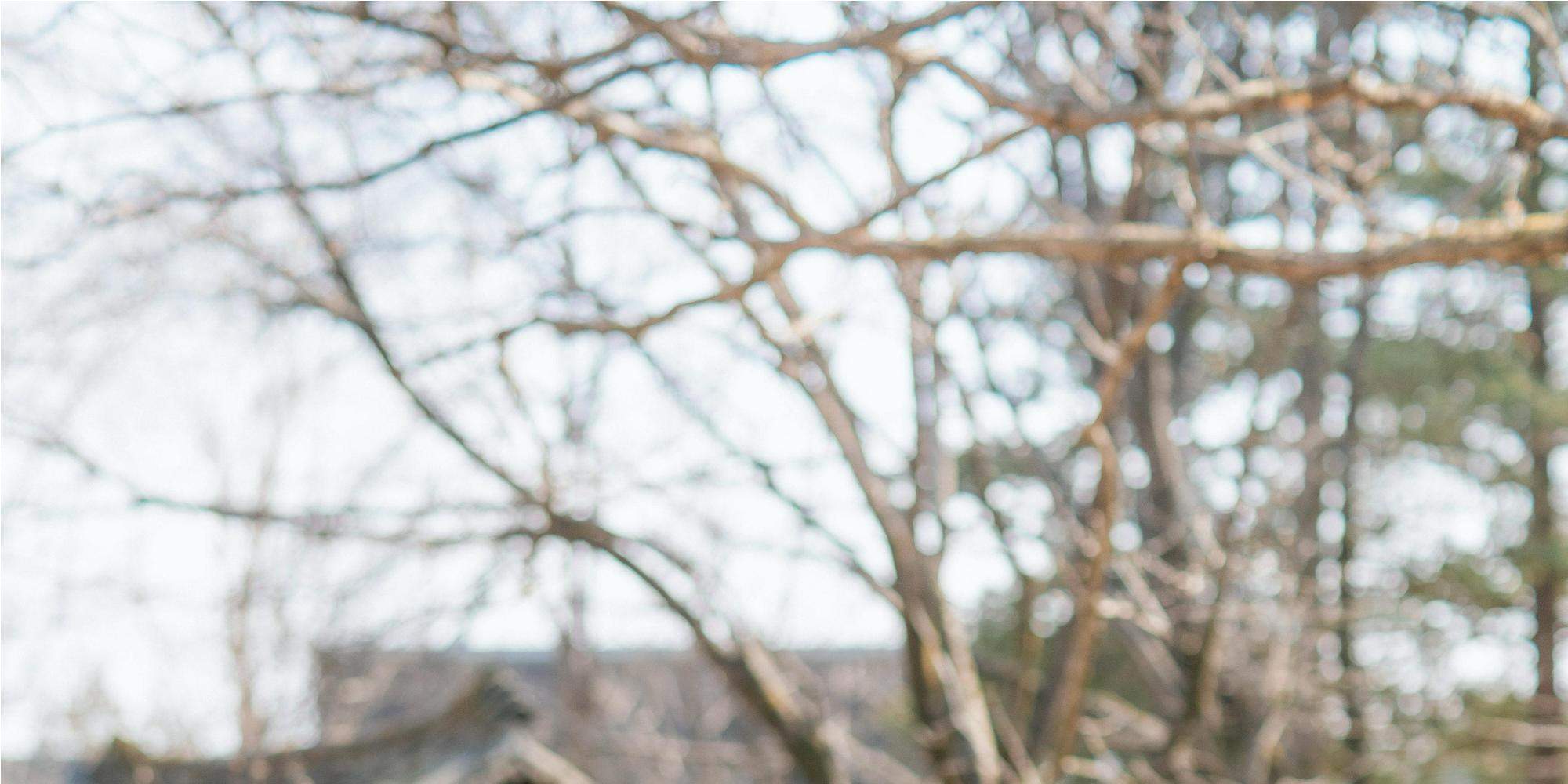 Ein Hanbok, der im Wind unter fallenden Blütenblättern weht, ist ein atemberaubender Anblick.