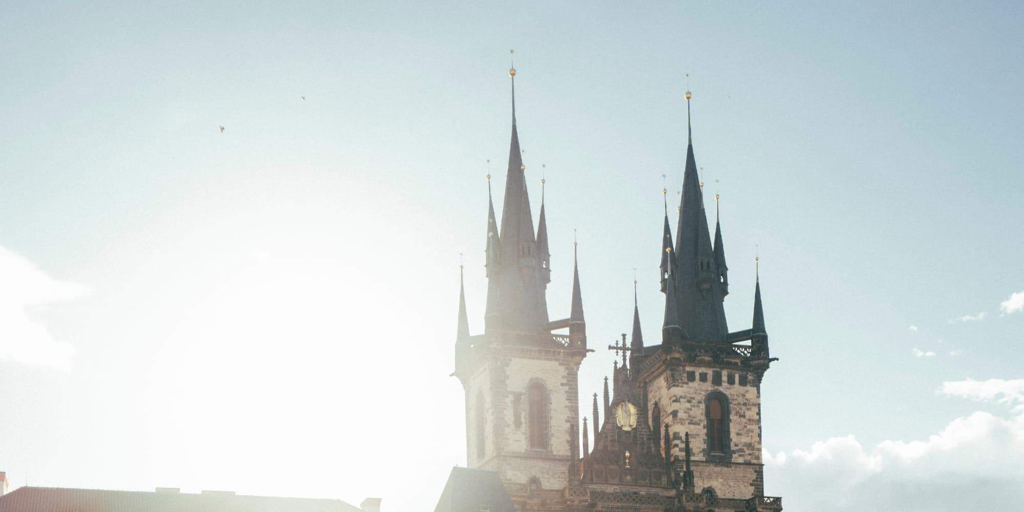 Exhibición del Portafolio del Fotógrafo