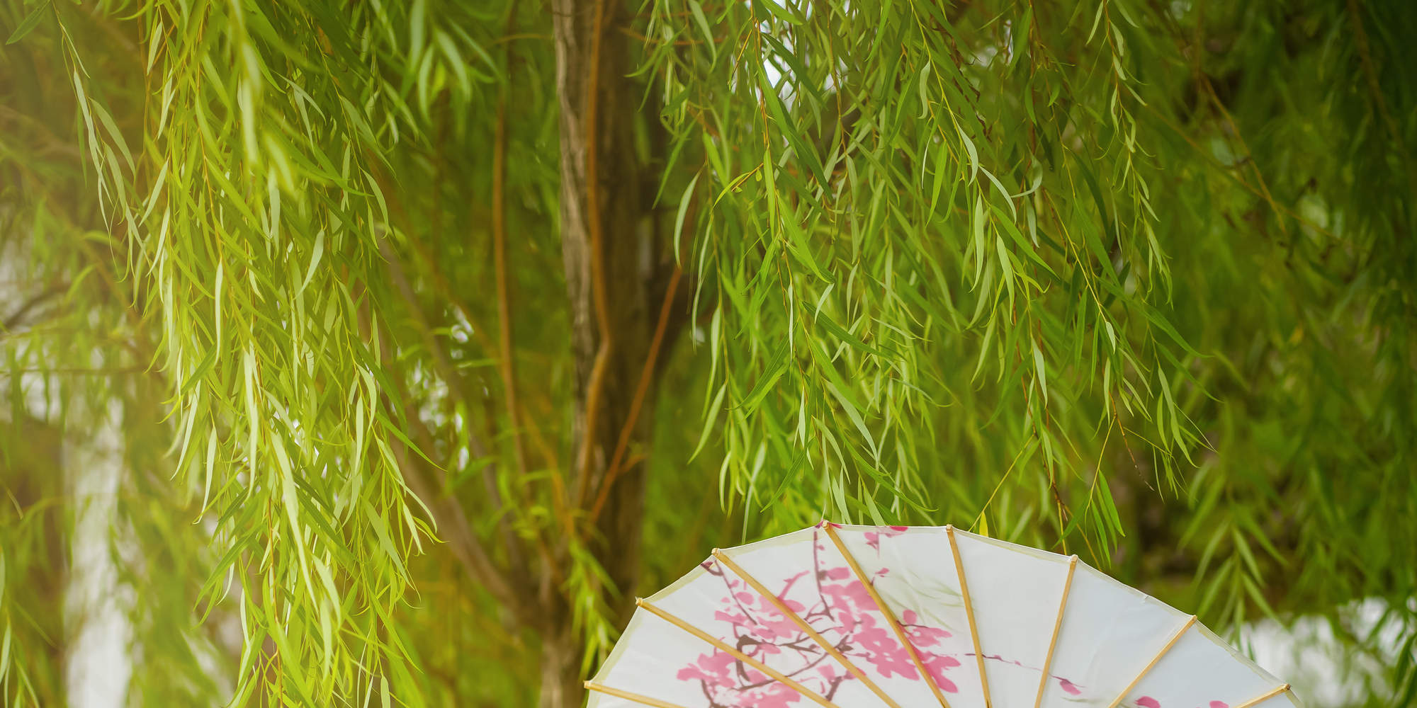 Esperienza di Hanfu o Zanhua Makeup & Photoshoot a Malacca