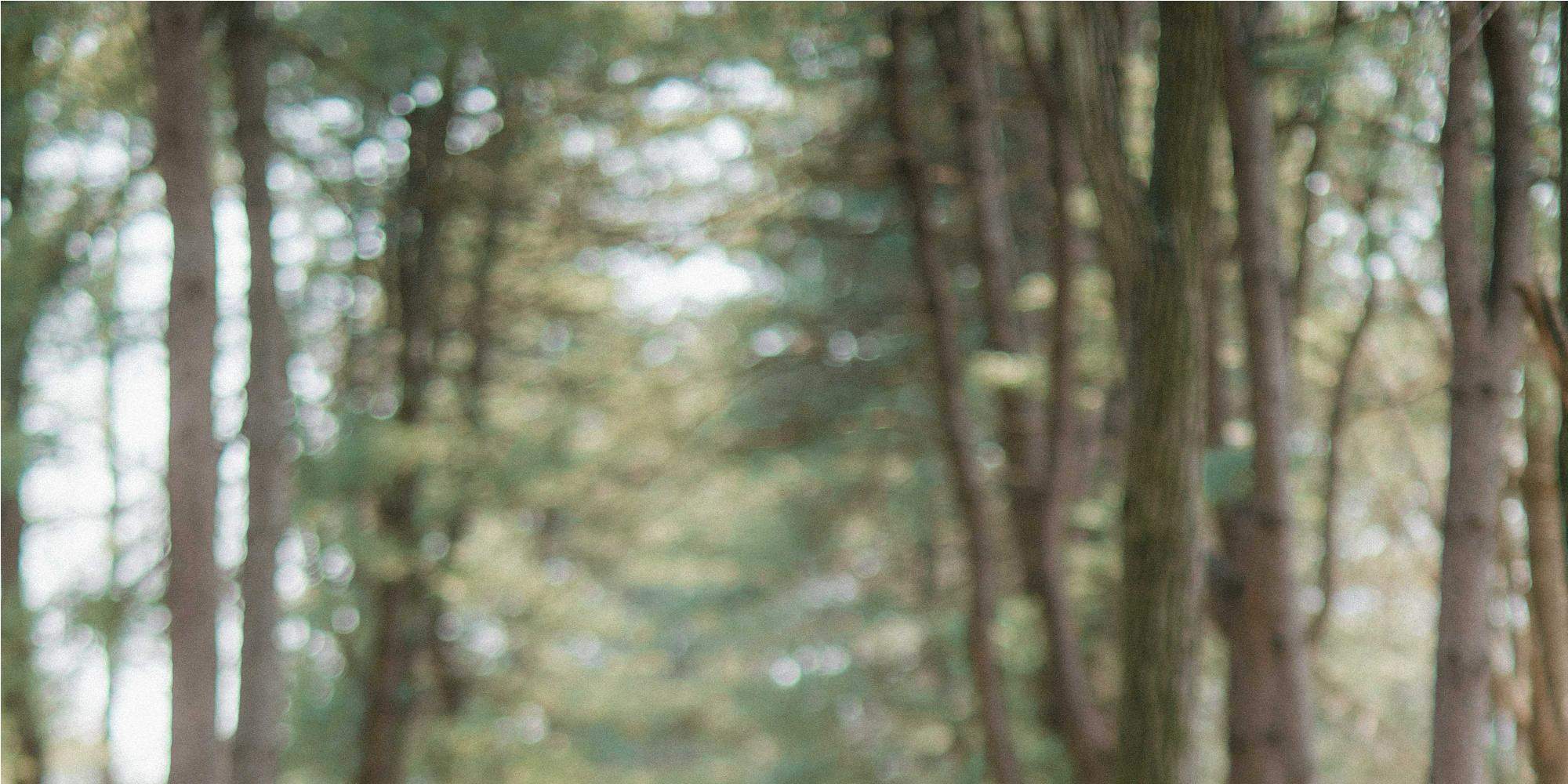 Gambar hanbok di bawah pokok bunga sakura? Sememangnya sesuai untuk dimuat naik di Instagram.