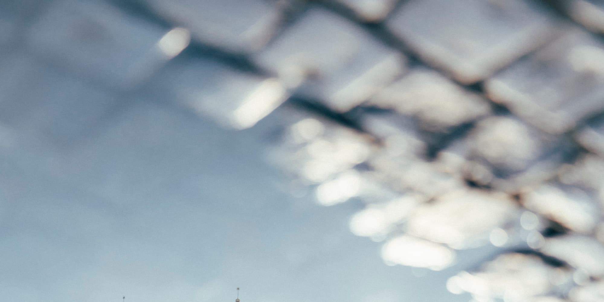 Exhibición del Portafolio del Fotógrafo