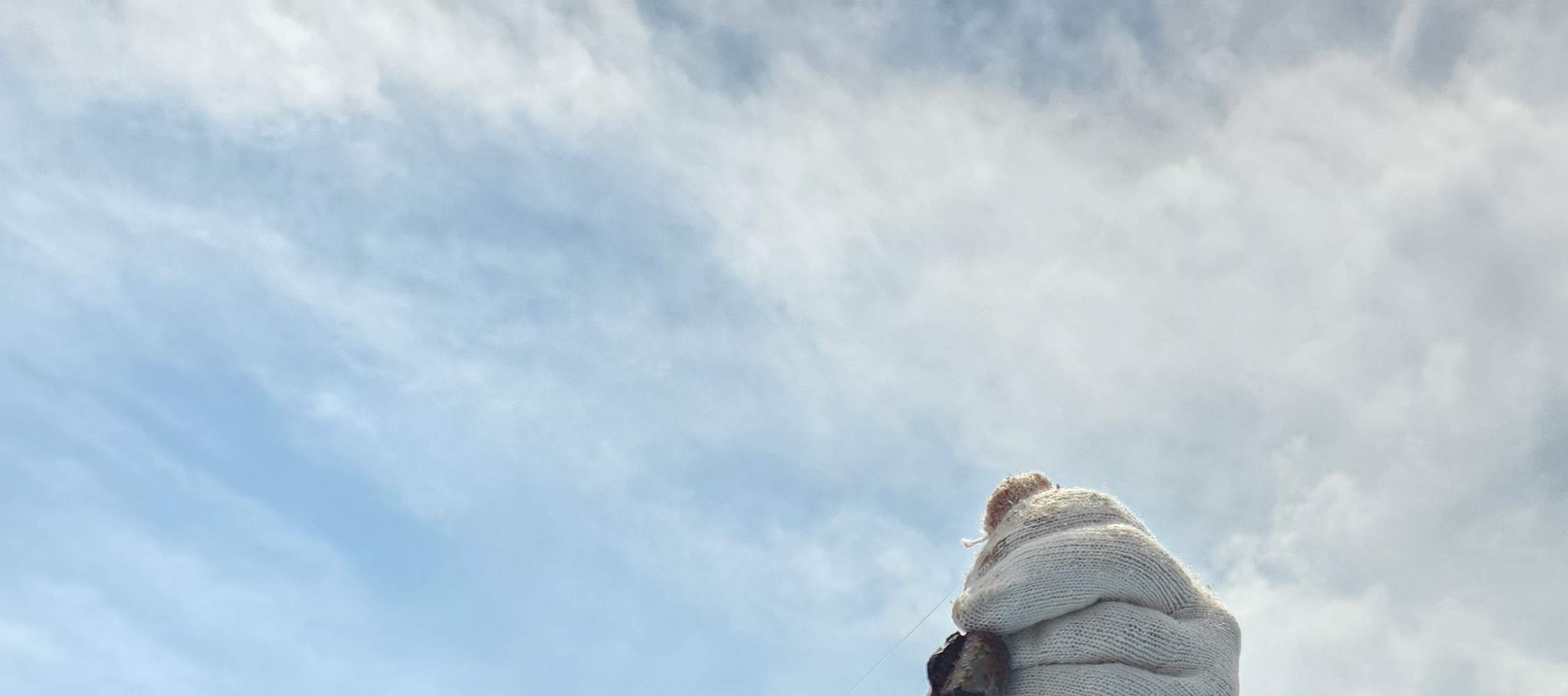 Tour di pesca in barca nel mare di Jeju con pranzo incluso