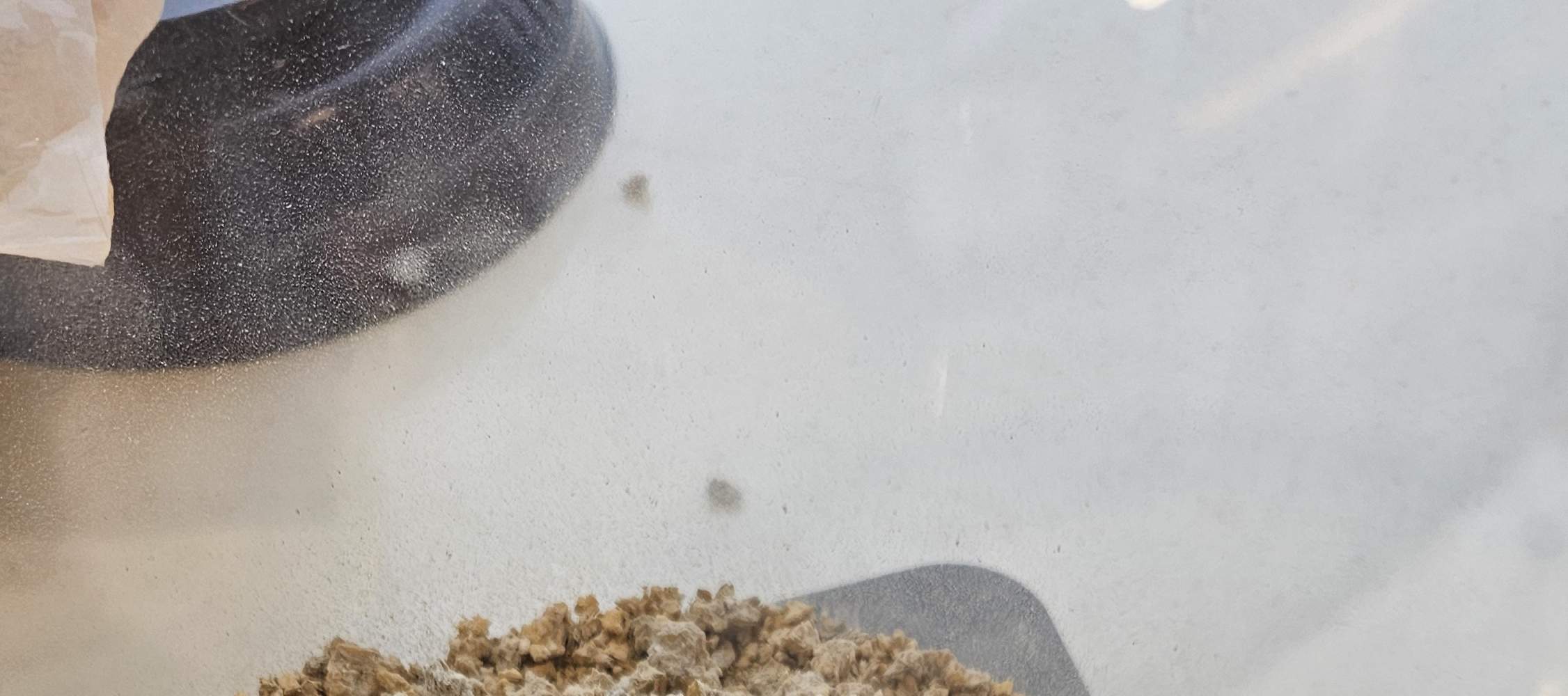 マッコリ（韓国の米酒）作り