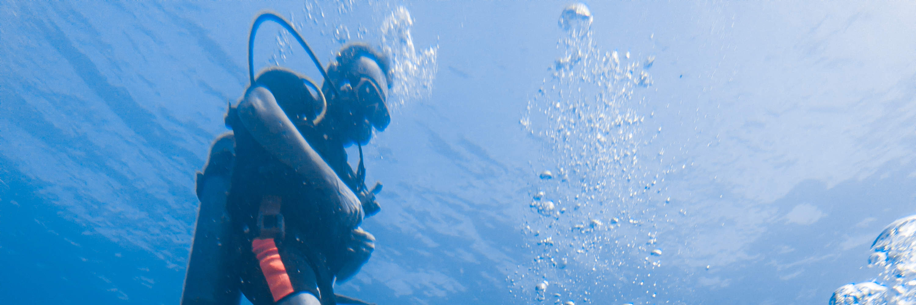 Curso de buceo Open Water Diver E-learning