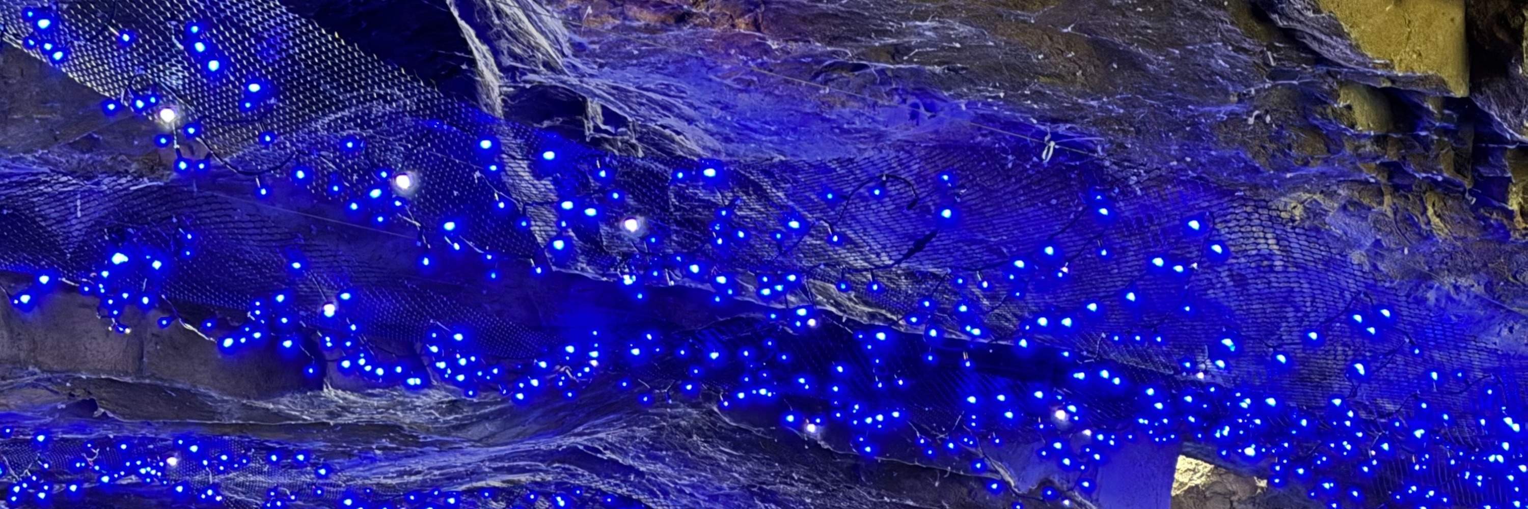 宜蘭：冬山河生態緑舟電動船 & 水上自転車