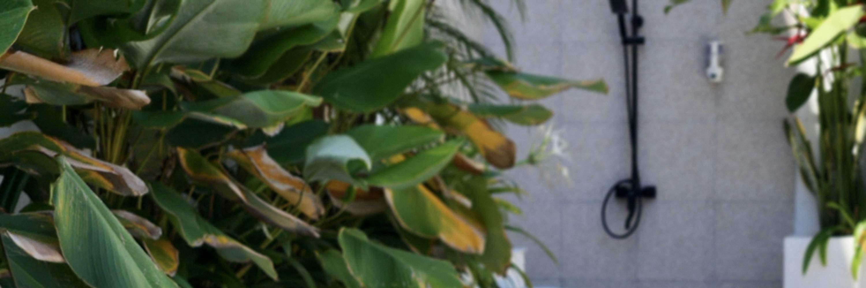 Pet Cafe und Lounge in Bali Pet Nirvana