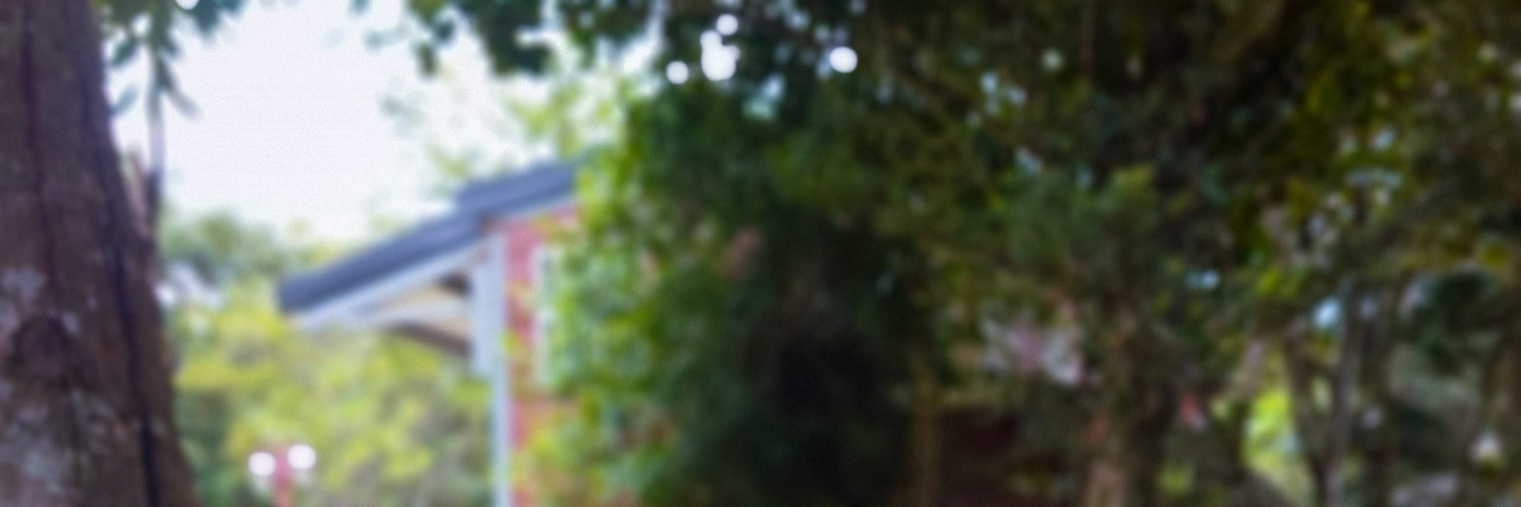 桃園穀倉荘園 - 小動物とのふれあい体験