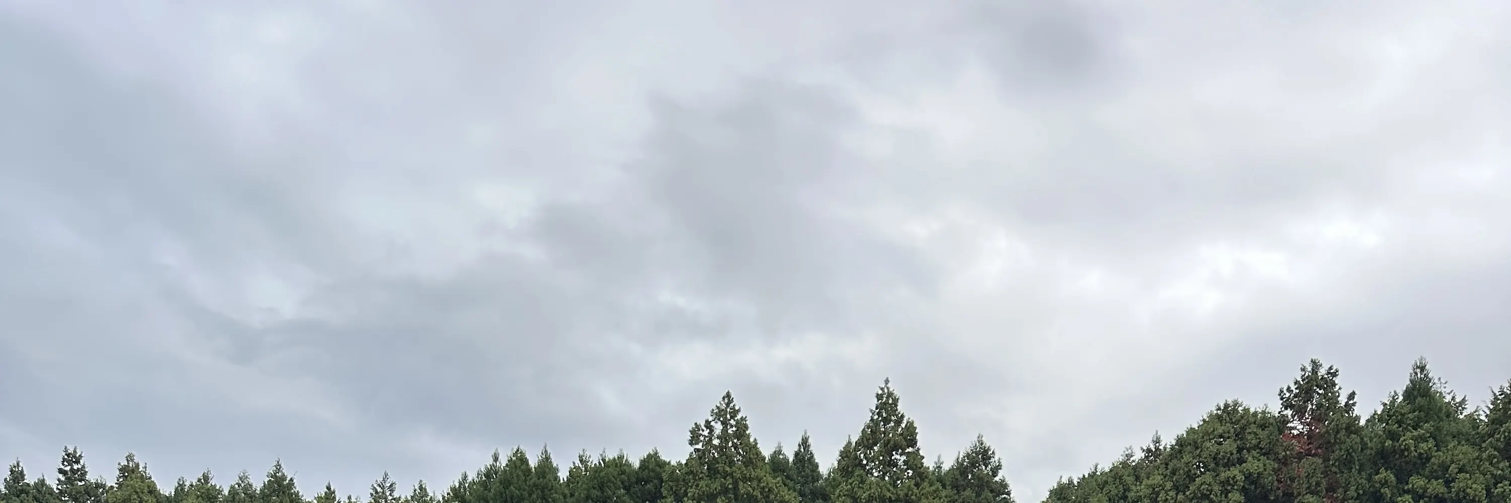 东京漂移自驾私人课程，由日本OG专业老师授课