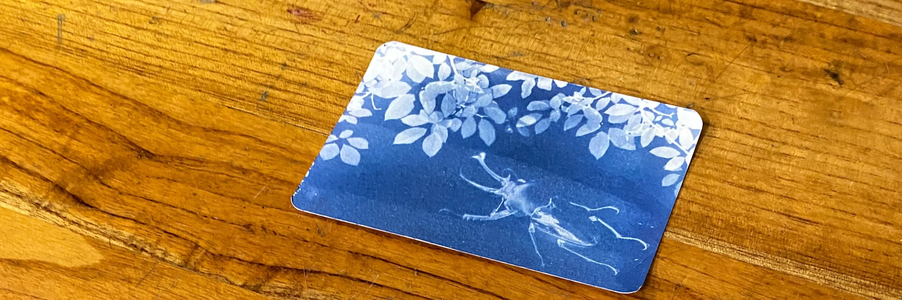 手作班房 - 蓝晒小斜揹包工作坊 Cyanotype Workshop｜铜锣湾