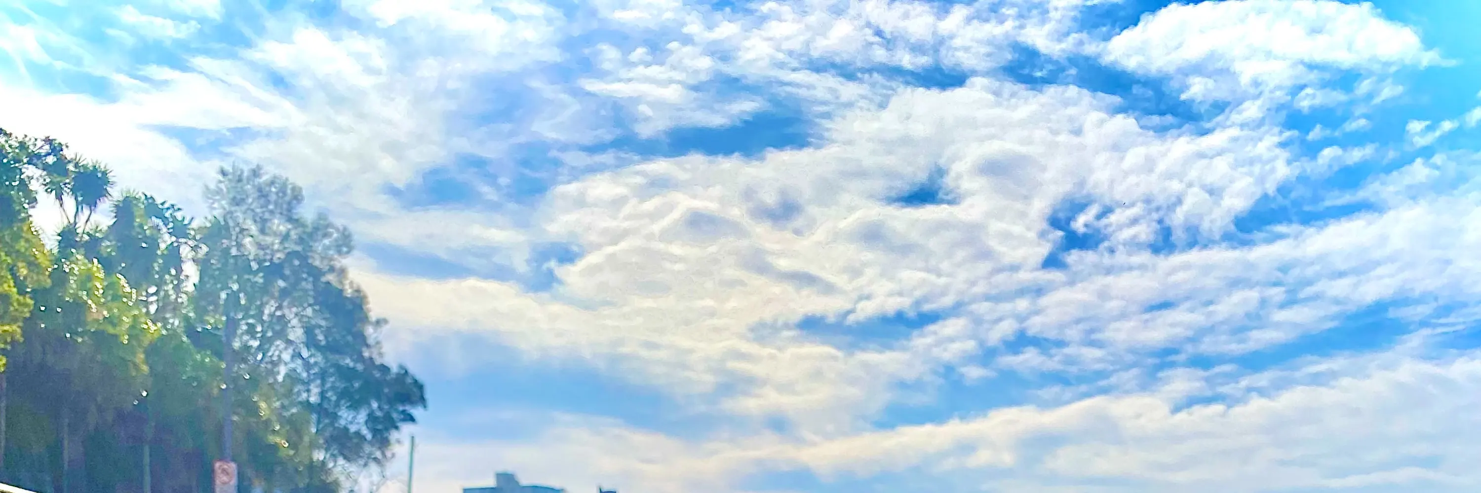 在海滩边上