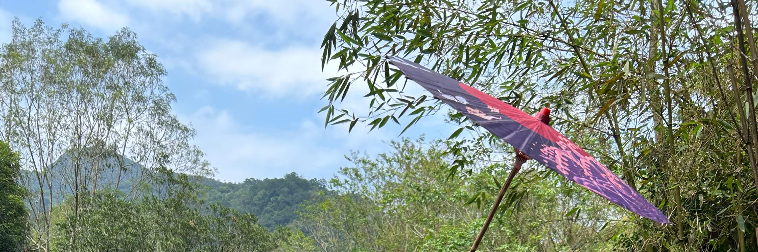 Hutan Mandian Air Panas Taman Rekreasi Jiaoxi