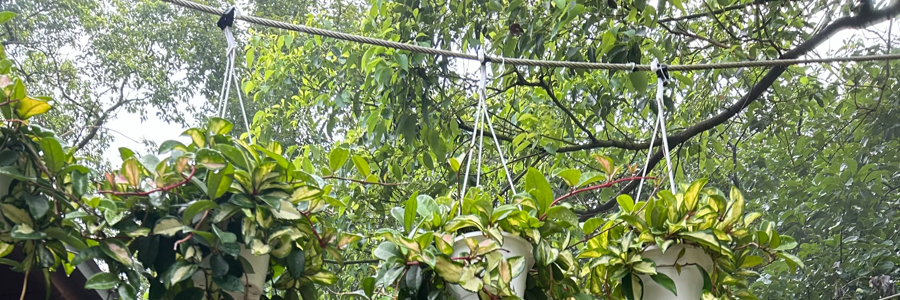 礁溪温泉公园森林风吕