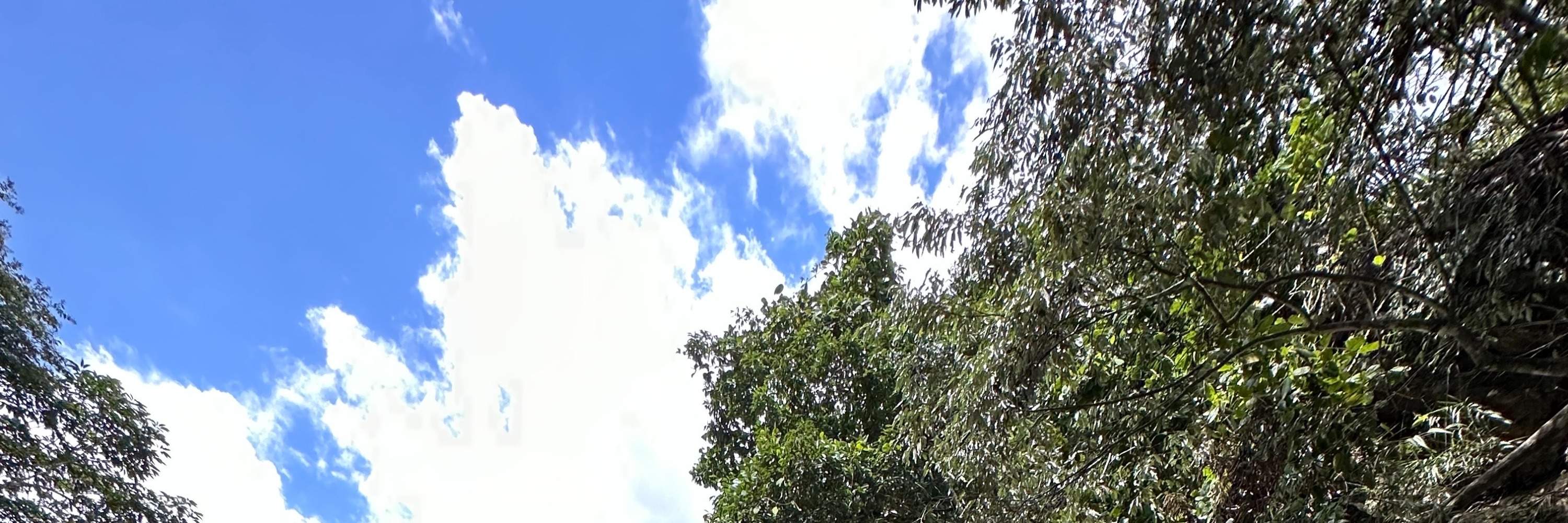 [Nashan and Nagu] Yilan Nan'ao | Excursión de medio día Barranquismo en la cascada Jinyue