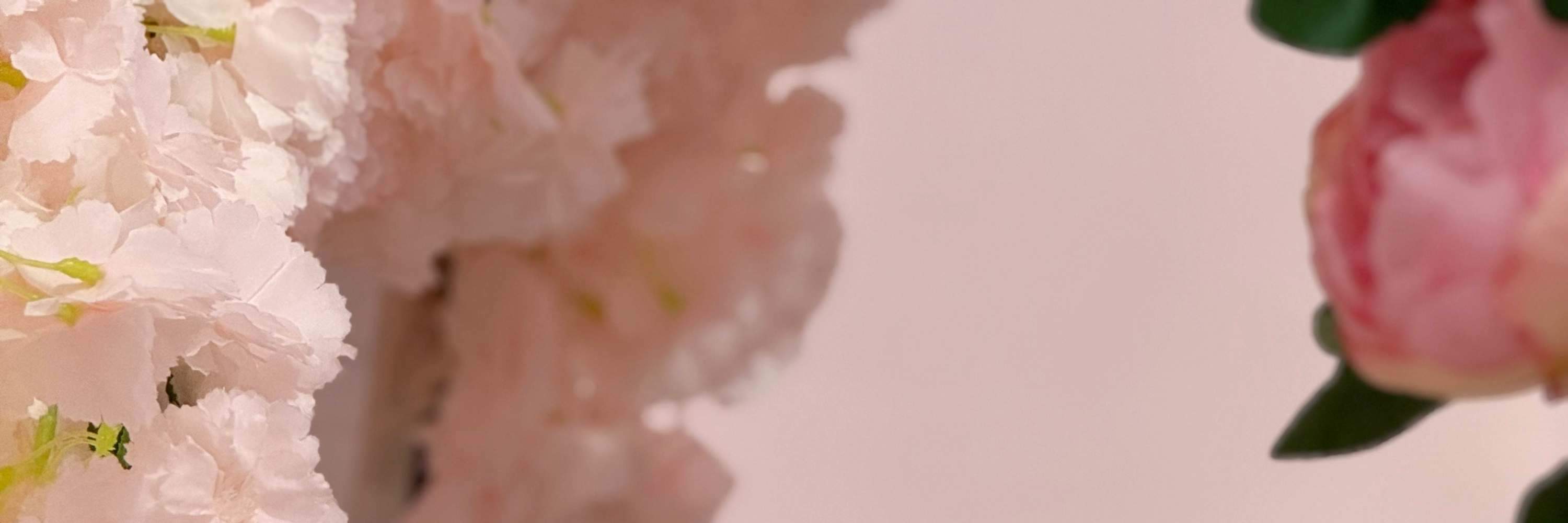 Này sen! Đến chơi với bé đi mà—bé xin đó nha?