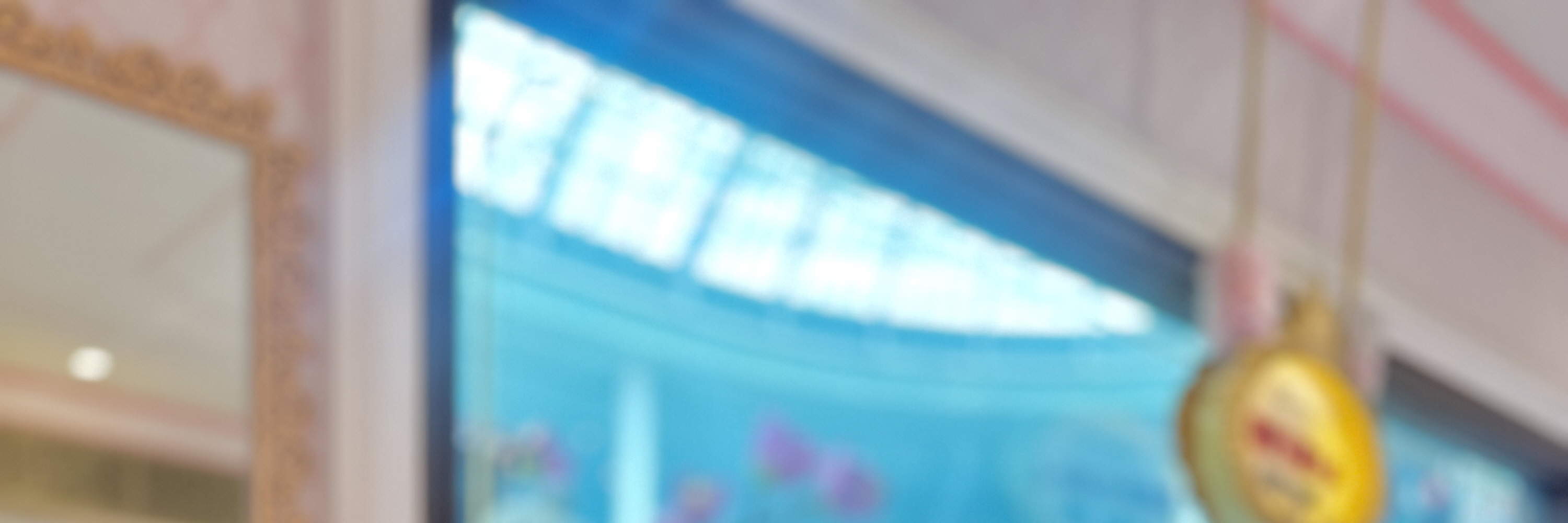 Lotte World SharonCat Dress & Parade Experience, Seoul