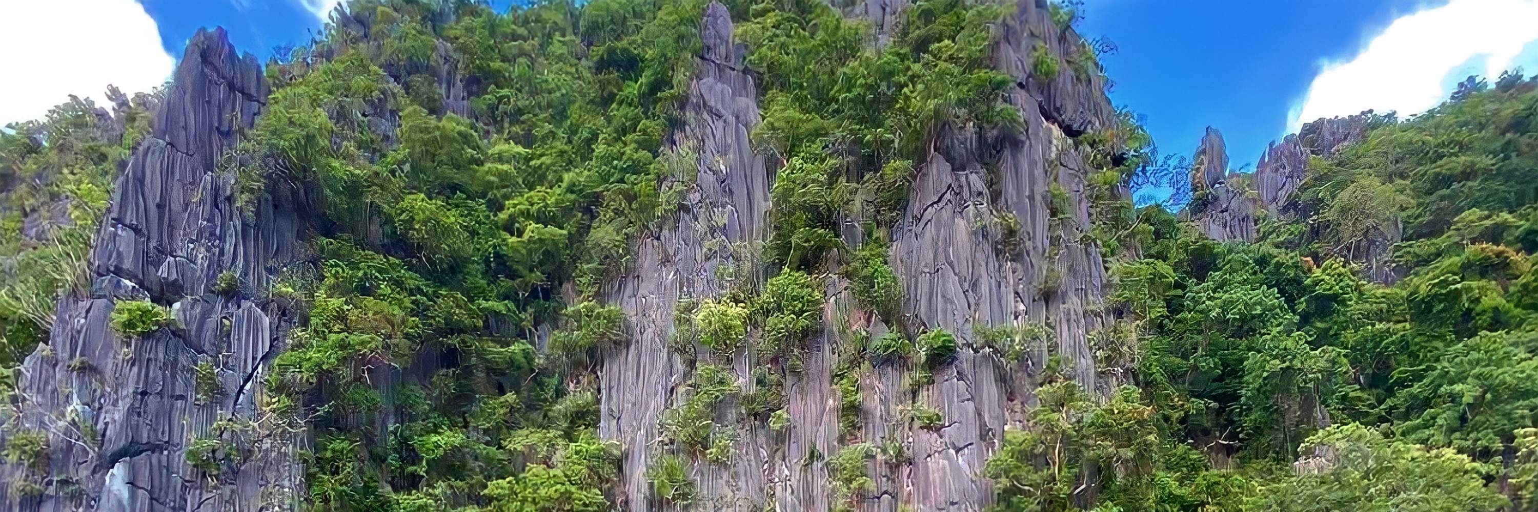 Nagez, explorez et profitez de la plongée avec tuba dans les eaux environnantes.