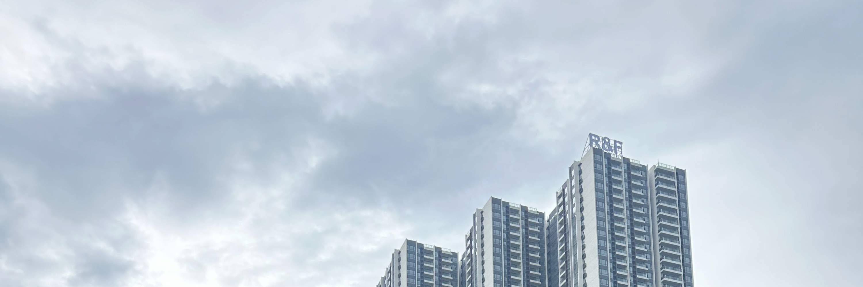Un pato con cuatro motos de agua 
