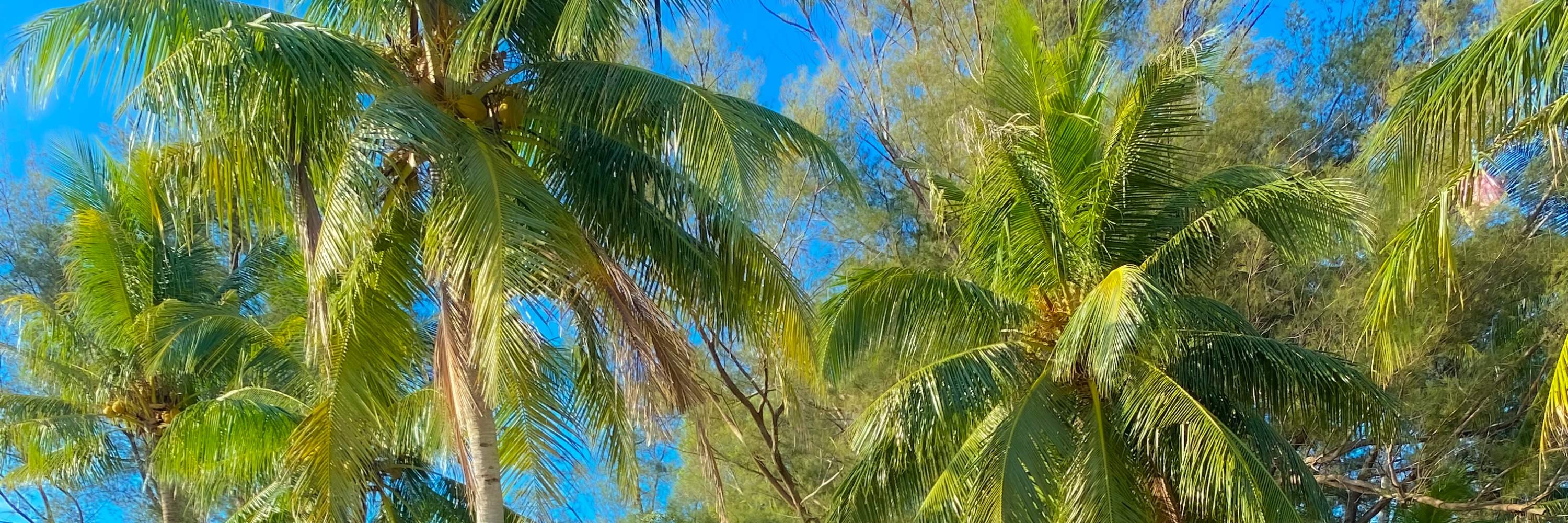 Hướng dẫn và phổ biến an toàn từ hướng dẫn viên trước khi ra khơi