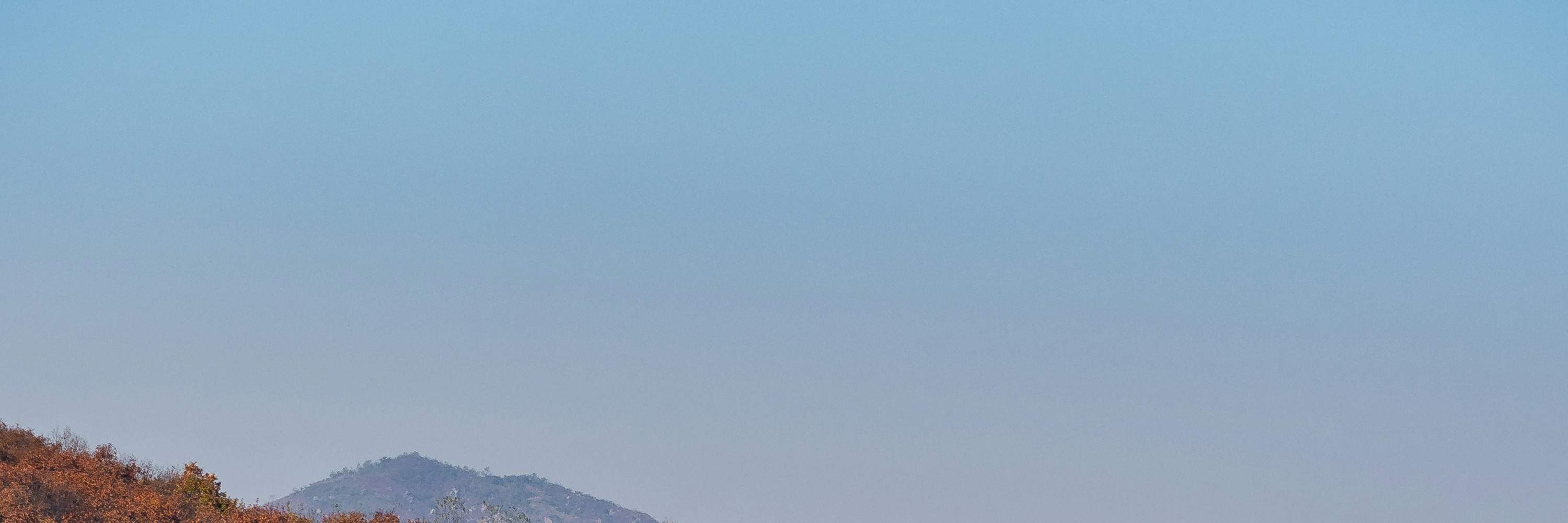 Seoul Private Car Rental with Driver Klook Philippines