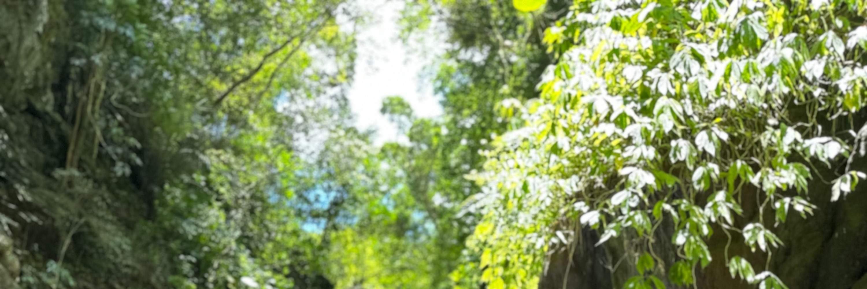 [Nashan et Nagu] Yilan Nan'ao | Excursion d'une demi-journée de canyoning à la cascade de Jinyue