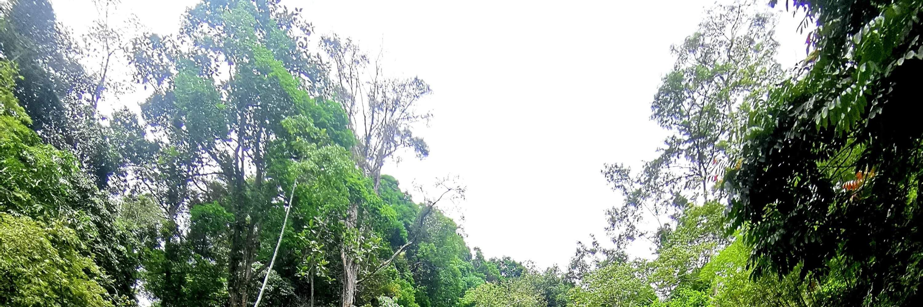 3D2N Cameron Highlands Tour From Singapore Klook Singapore 3d2n-cameron-highlands-tour-from-singapore-klook-singapore