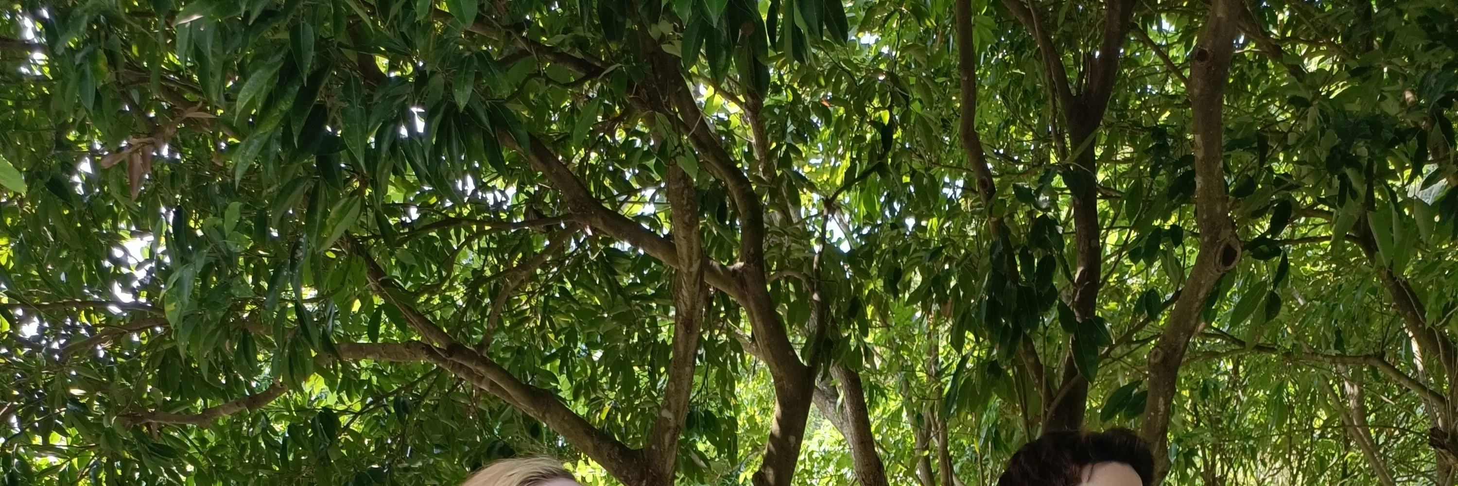 。