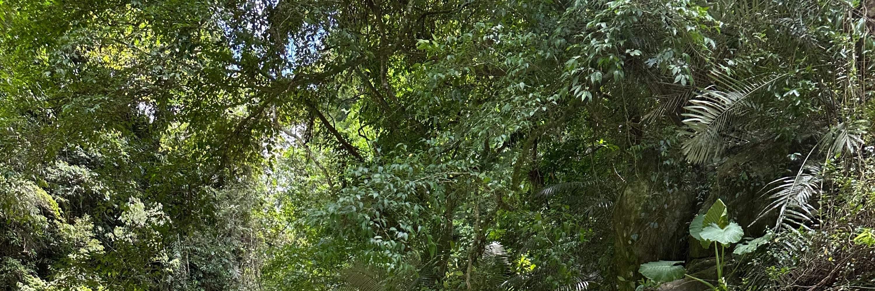 [Nashan et Nagu] Yilan Nan'ao | Excursion d'une demi-journée de canyoning à la cascade de Jinyue