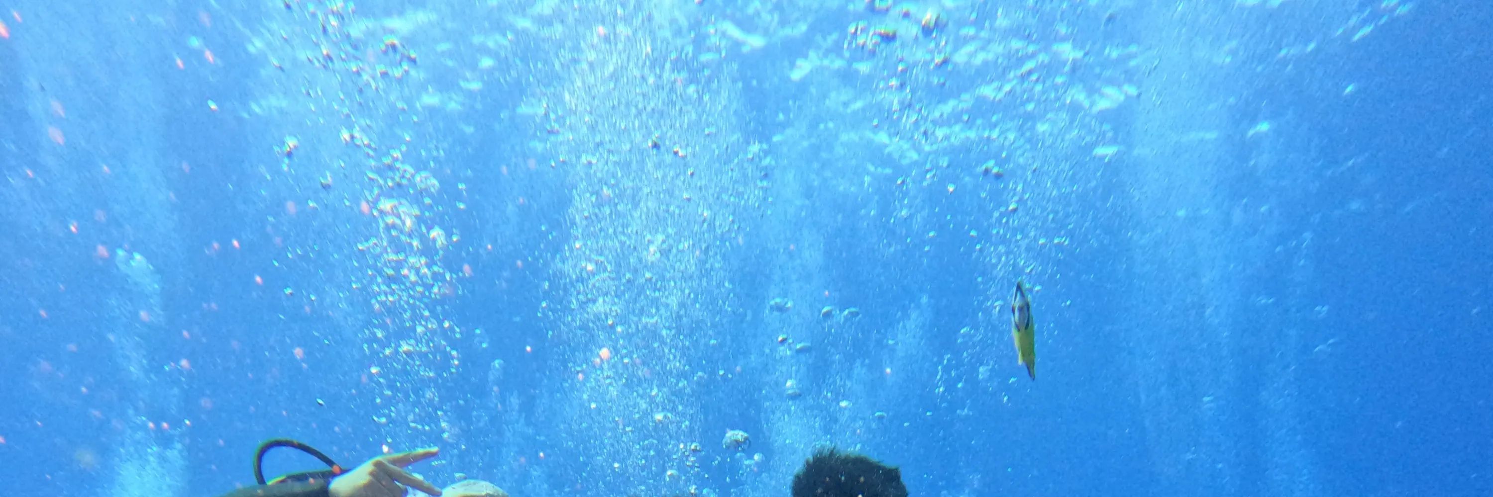 绿岛海湾潜水