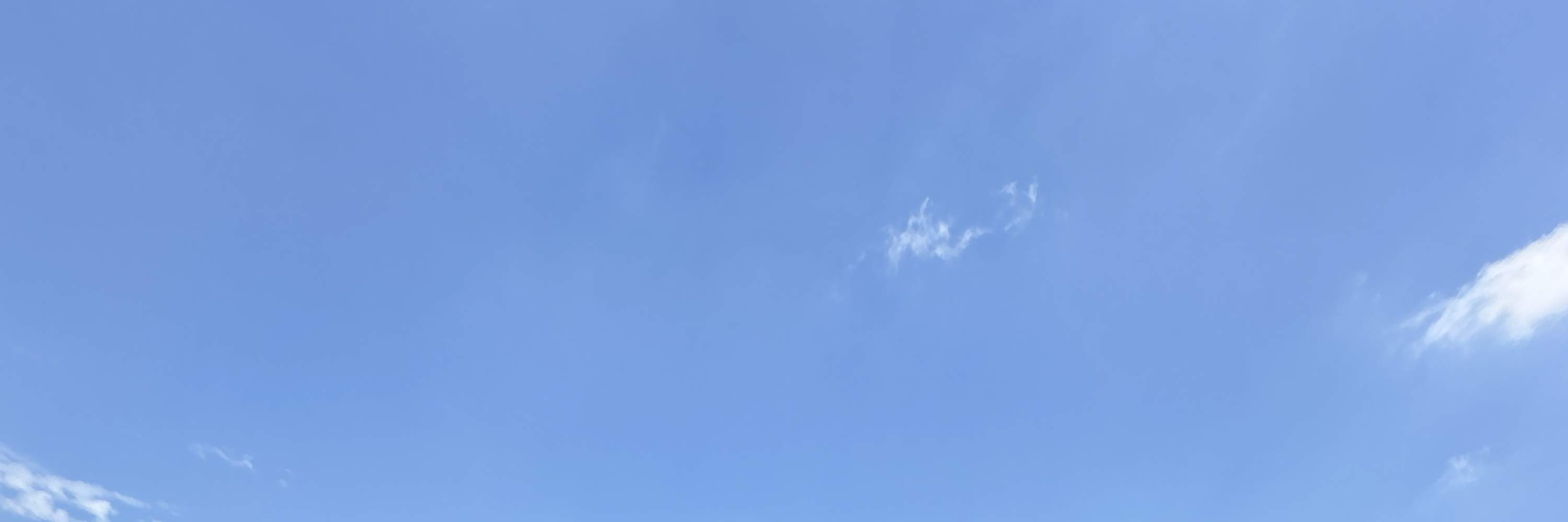 JDM Drift Car Riding Experience Private Tour Tokyo Drift Daikoku