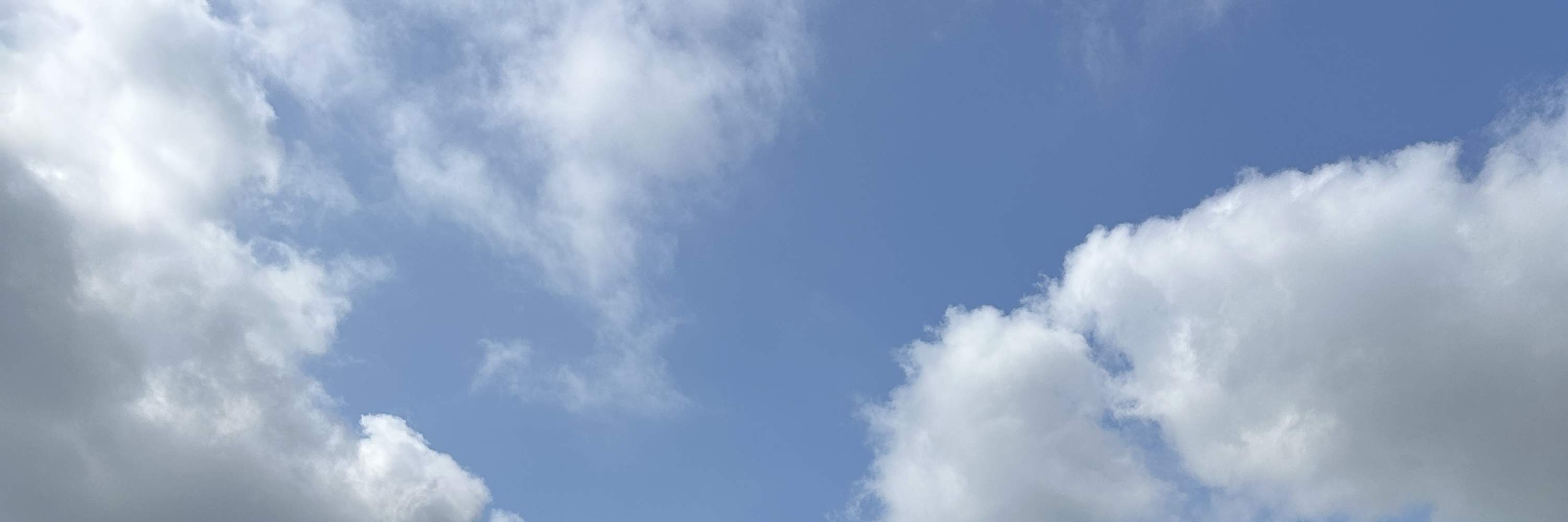 JDM Drift Car Riding Experience Private Tour Tokyo Drift Daikoku