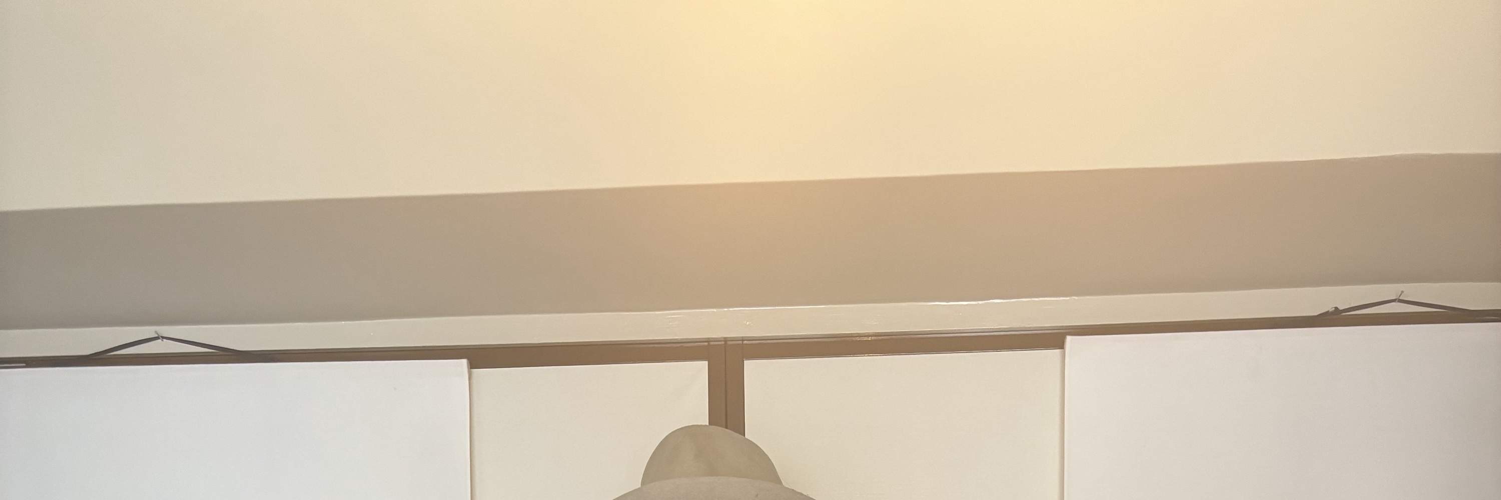 写真家ベンジャミン・リーとパブロ・ピカソのキュビズムのイメージ