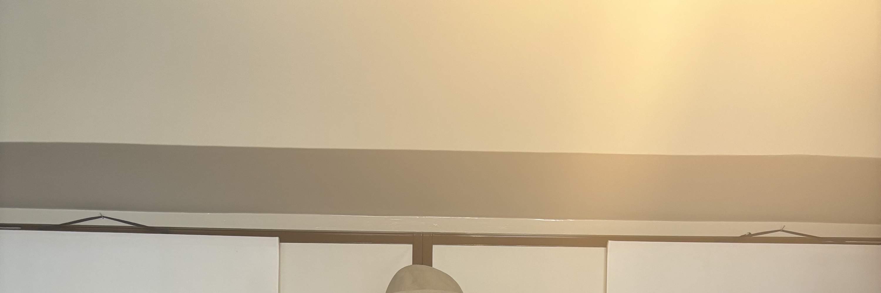 写真家ベンジャミン・リーとセルフポートレート