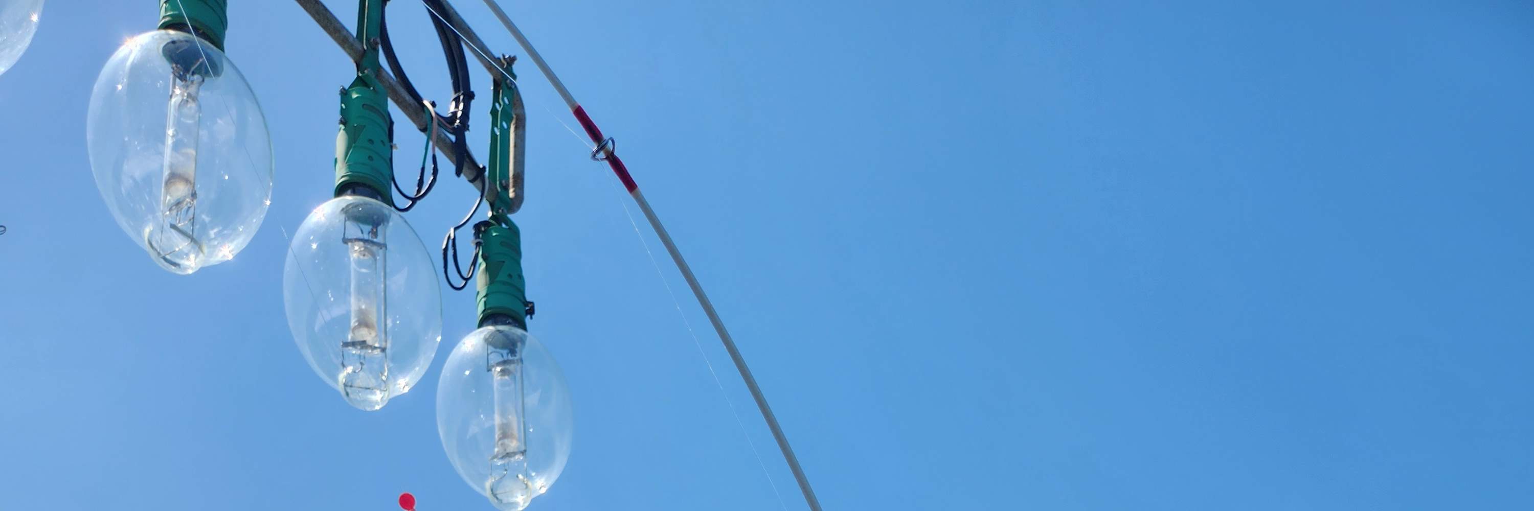 Tour Câu Cá Trên Thuyền Biển Jeju với Bữa Trưa