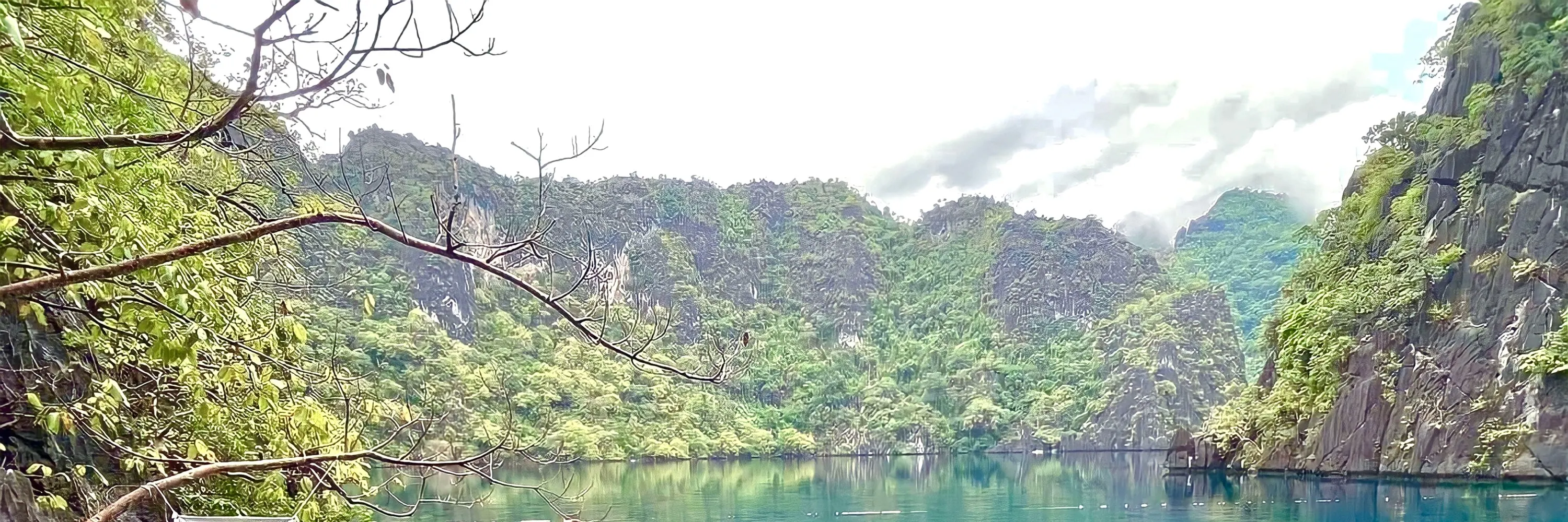 准备好登山鞋，前往深受潜水者欢迎的梭子鱼湖 (Barracuda Lake) 停留！浮潜见证冷热水层交会处独特的温跃层现象。