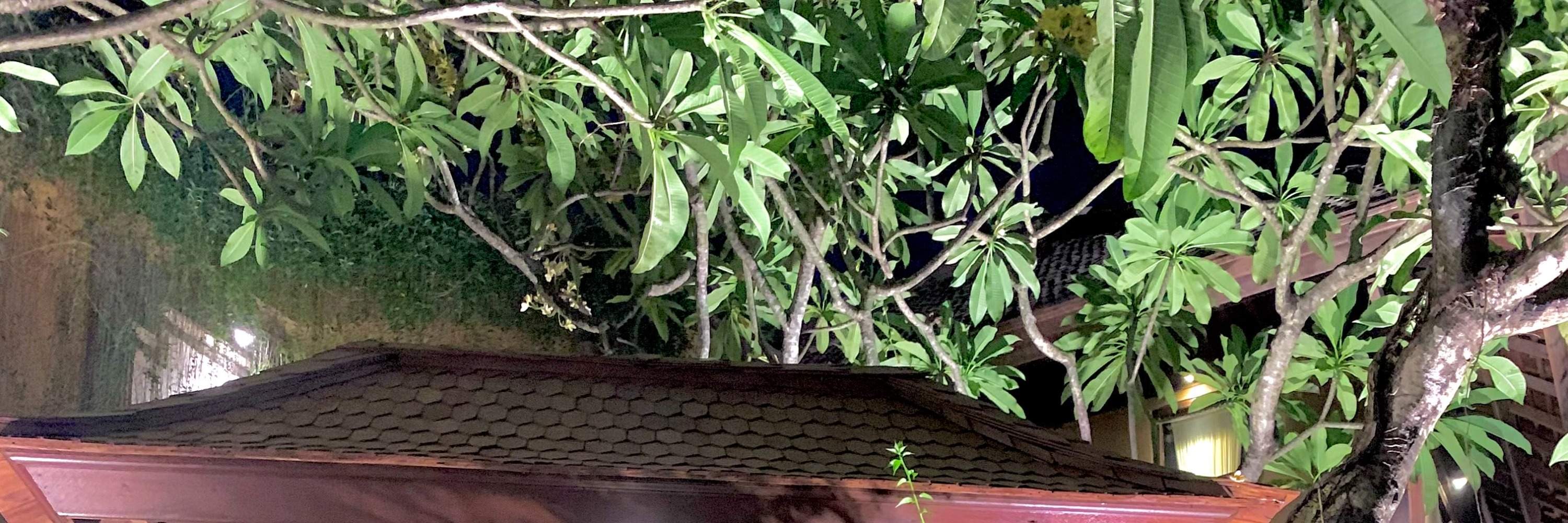 Expérience Nusa Bali Spa à Nusa Dua Bali