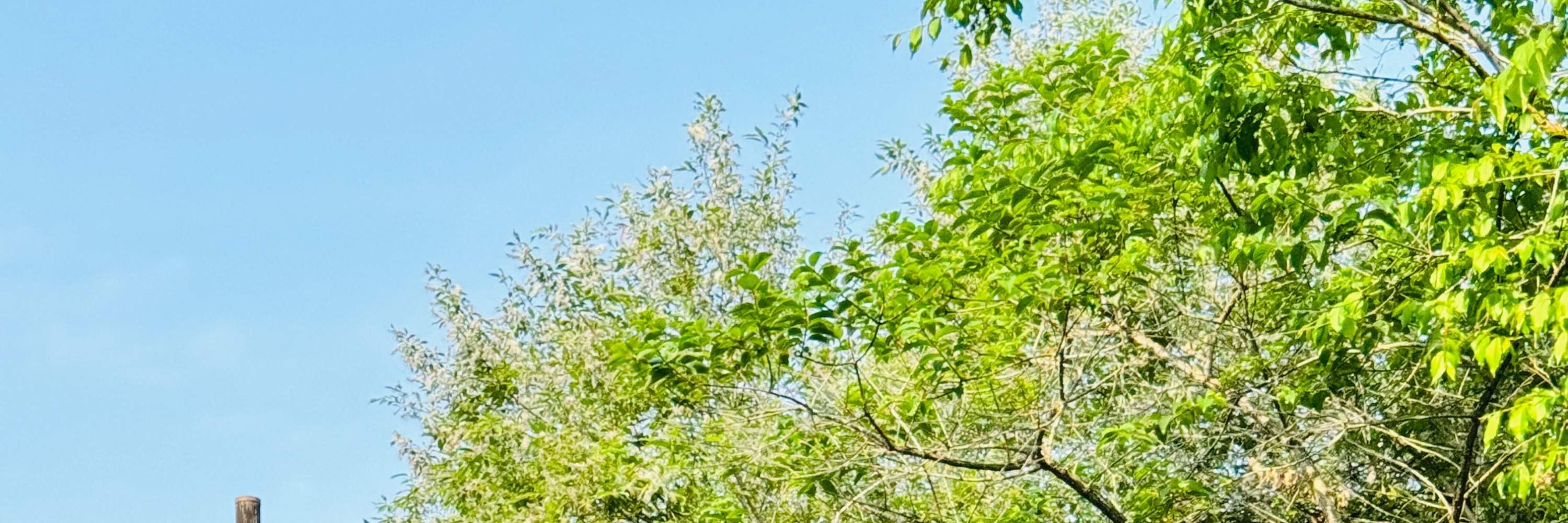 宜蘭: Thuyền điện & Xe đạp nước Sinh thái Làng Dongshan trên Sông Đông