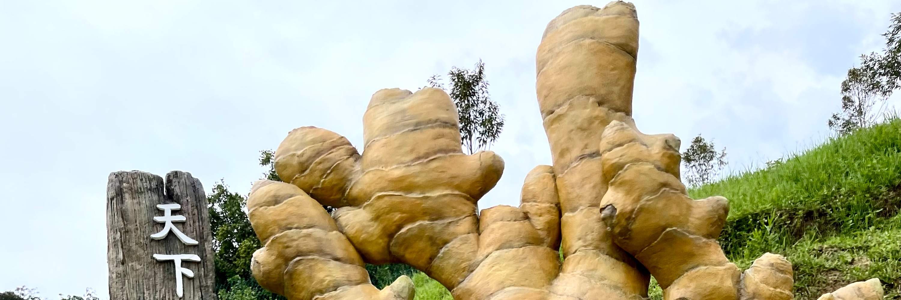 la ferme Bentong Pahang