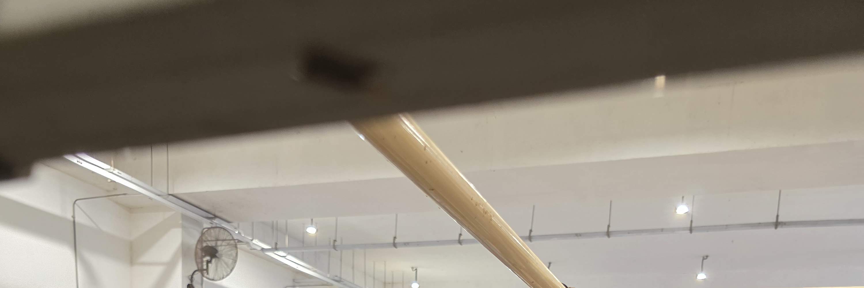 Tour Tham Quan Trang Trại Ruồi Lính Đen Lớn Nhất Singapore