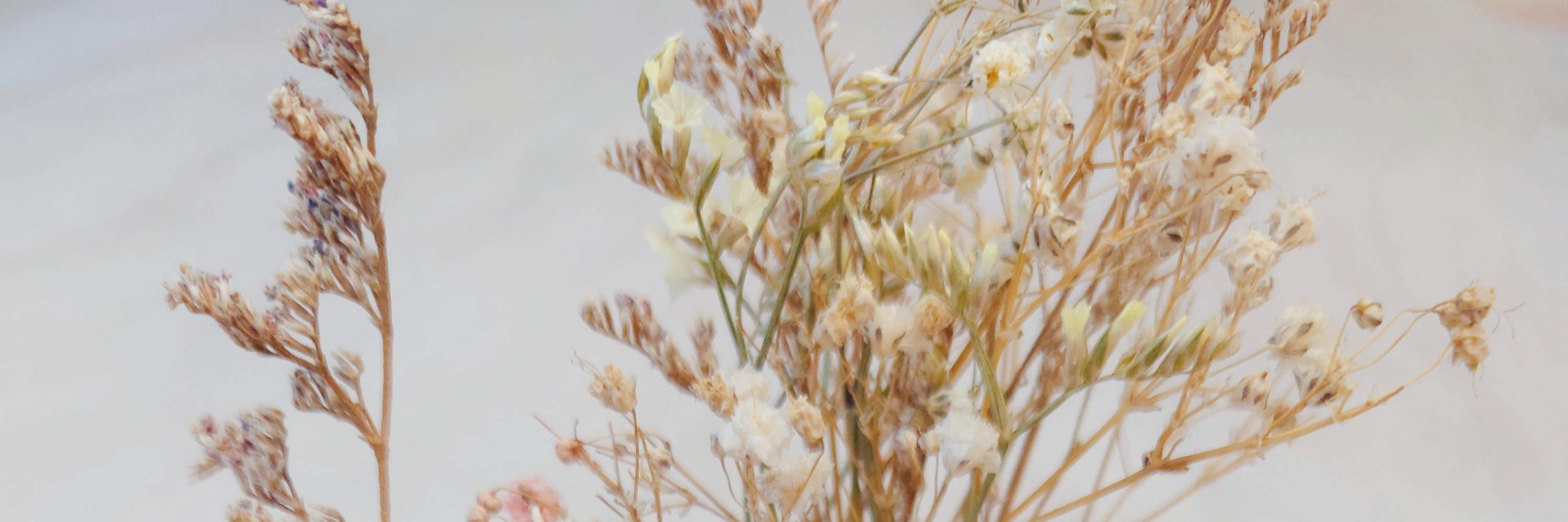 Immagini dei contenuti