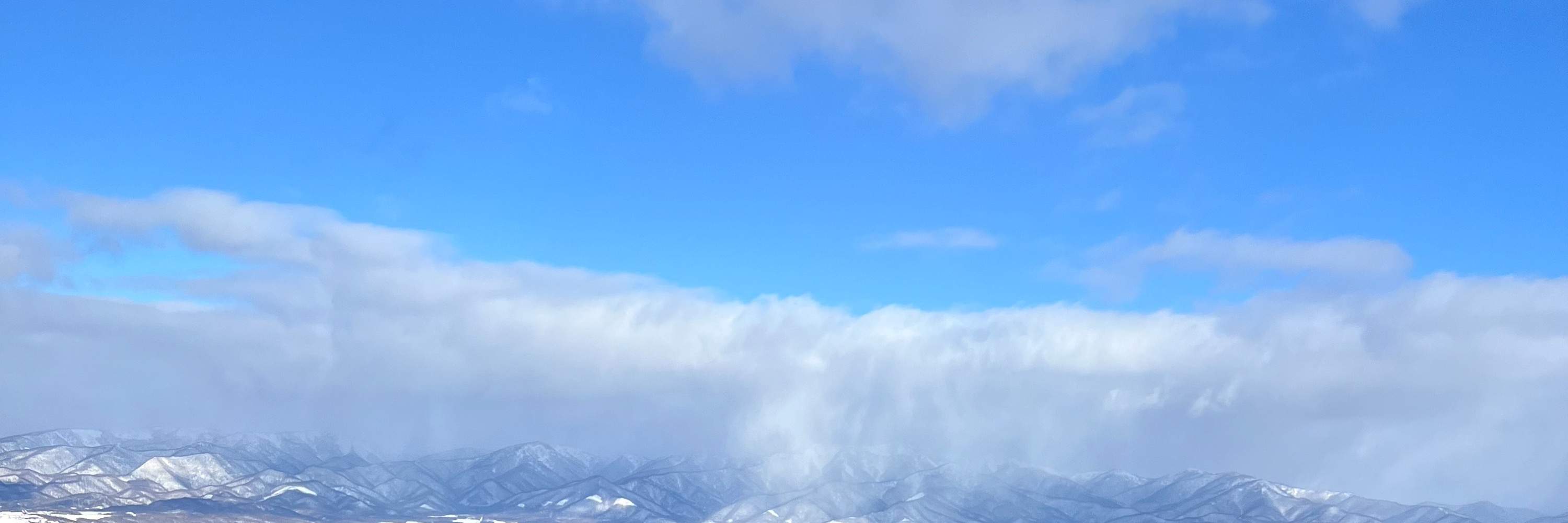 北海道新雪谷的私人滑雪或单板滑雪课程