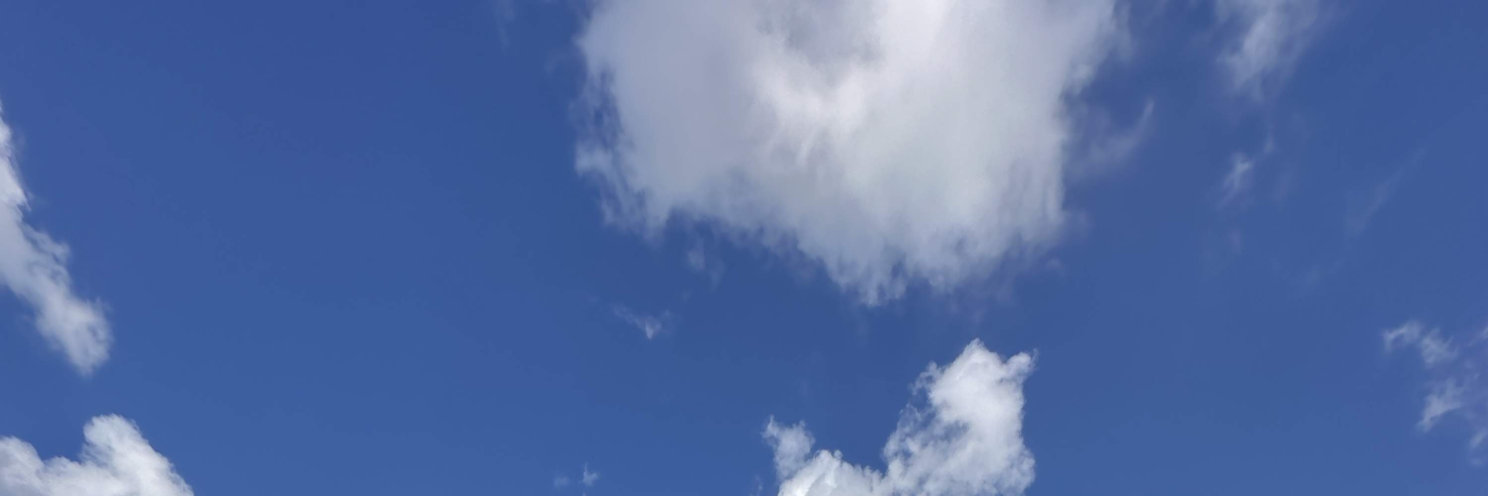 Tour riêng trải nghiệm lái xe JDM Drift Tokyo Drift Daikoku