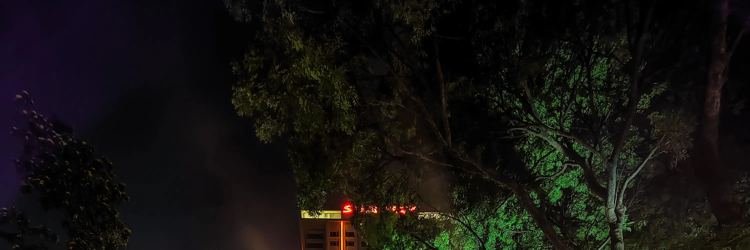 fireshow in night park