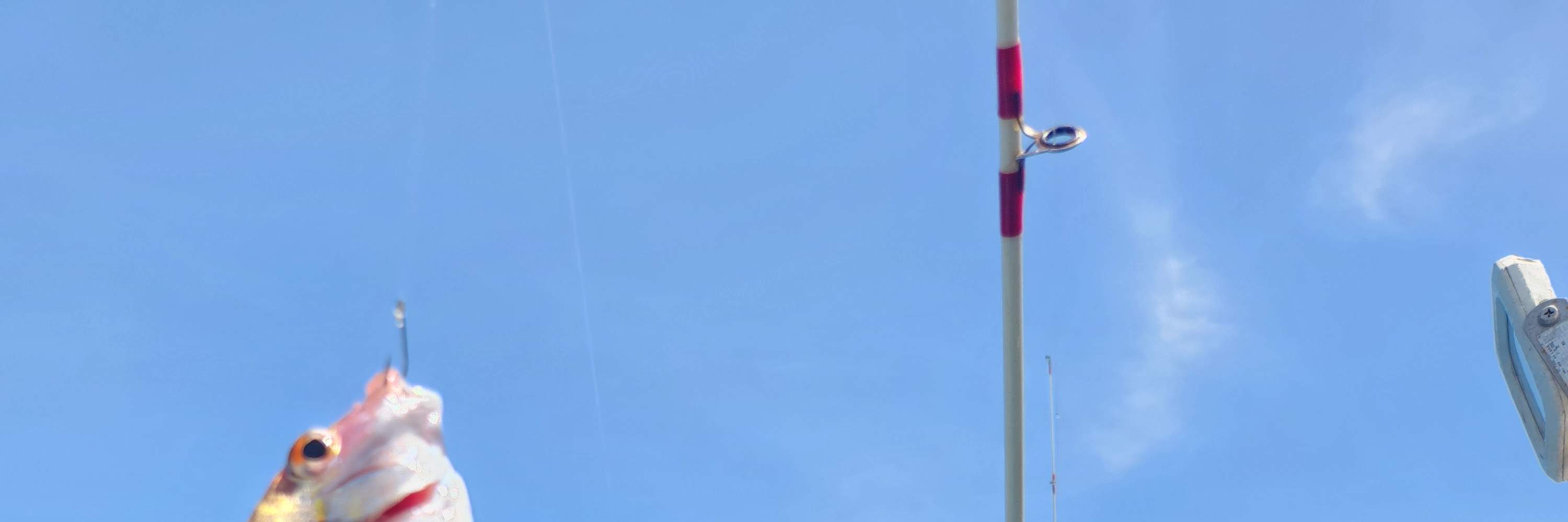 ทัวร์ตกปลาบนเรือในทะเลที่เชจูพร้อมอาหารกลางวัน