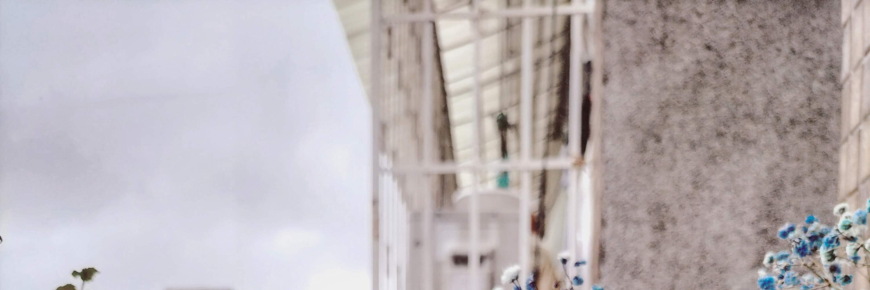 Pastri Telur Masin Epal Mawar