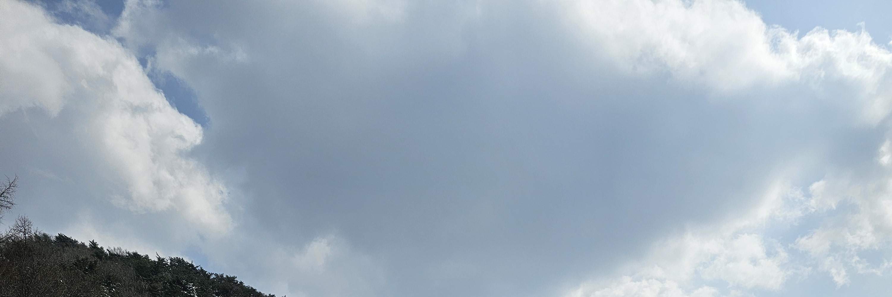 ウェリヒリパーク プライベートスキーレッスンPKG