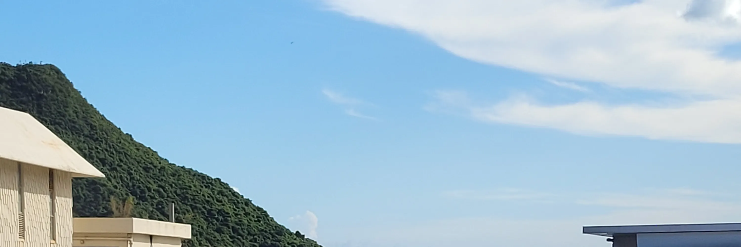 大澳观光小艇游船票